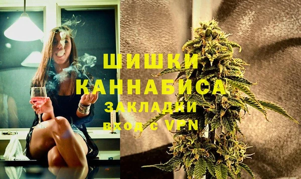 винт Абаза