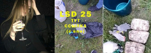 хмурый Алексин