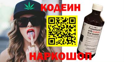 индика Боровичи