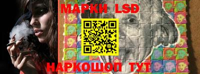 индика Боровичи