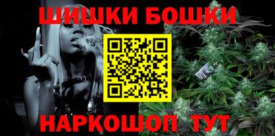 индика Боровичи