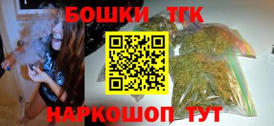 индика Боровичи