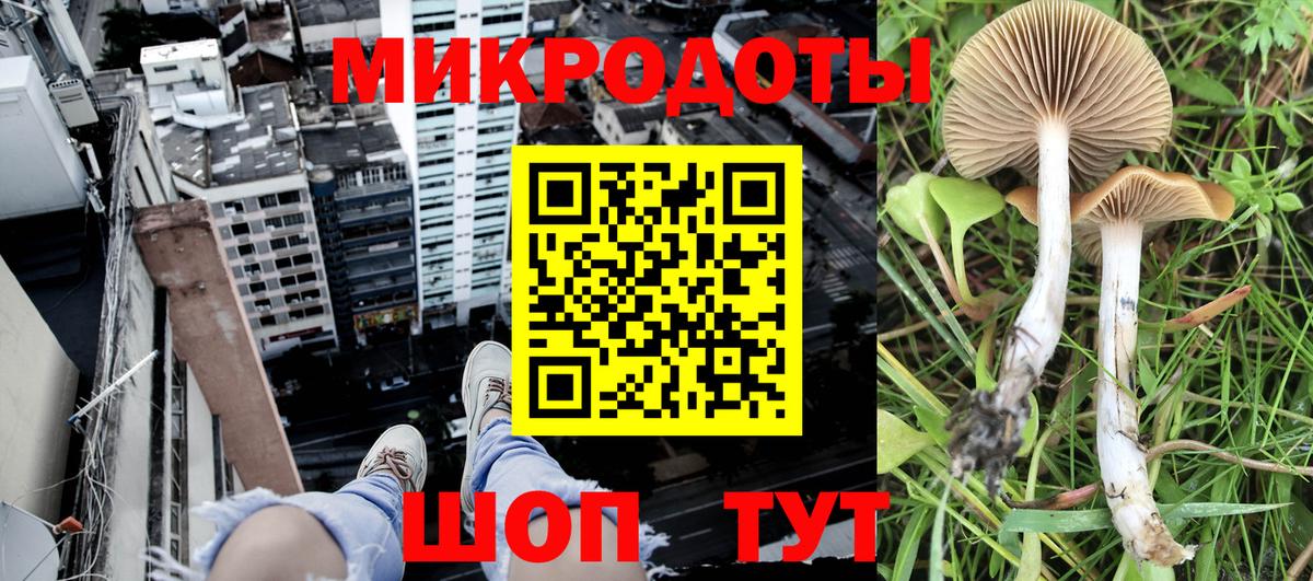 Псилоцибиновые грибы прущие грибы  Вход с VPN  Скопин 
