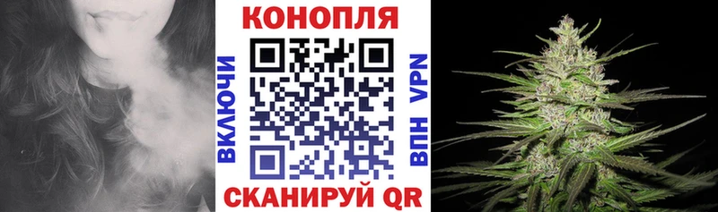 Каннабис сатива Скопин